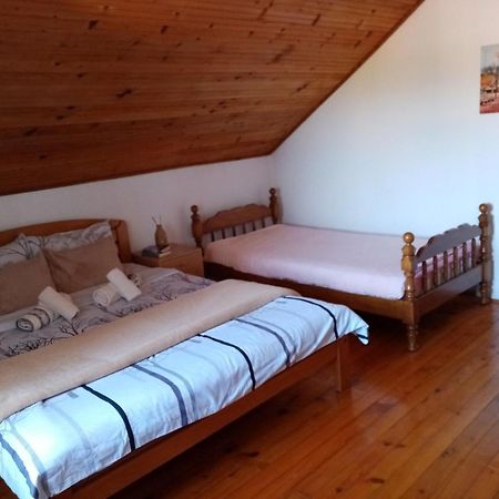 Vila Lenka Sokobanja Экстерьер фото