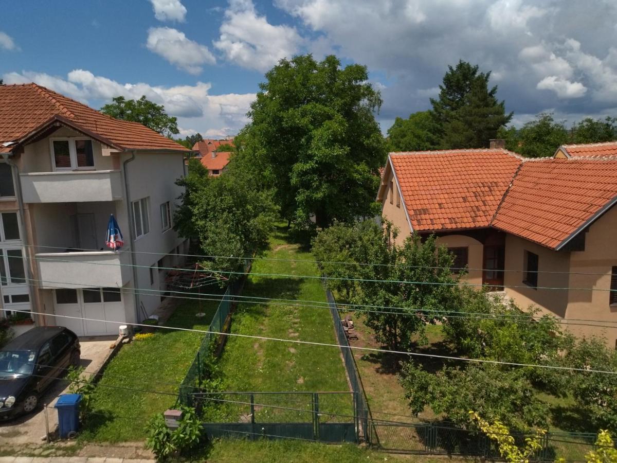 Vila Lenka Sokobanja Экстерьер фото