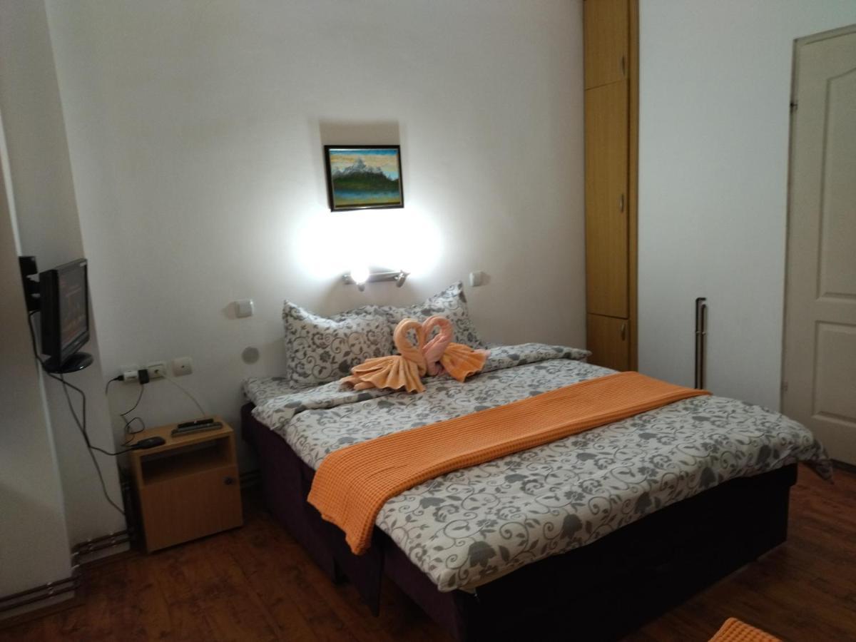 Vila Lenka Sokobanja Экстерьер фото