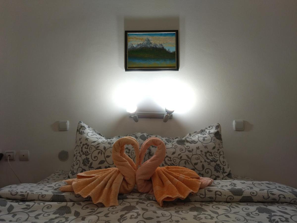 Vila Lenka Sokobanja Экстерьер фото
