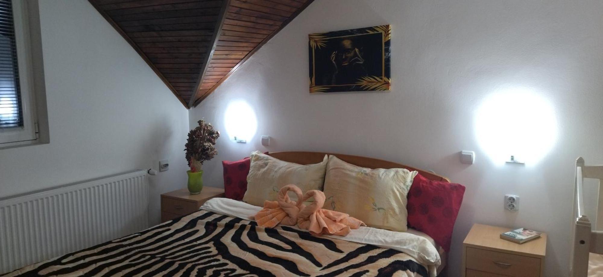 Vila Lenka Sokobanja Экстерьер фото