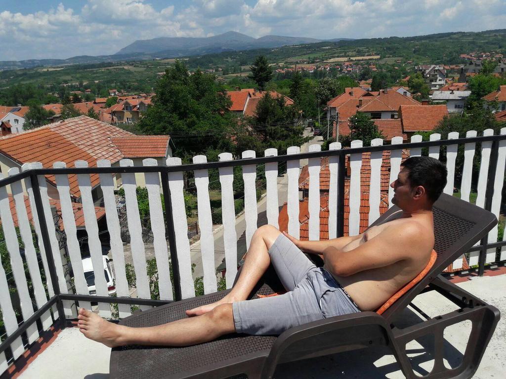 Vila Lenka Sokobanja Экстерьер фото