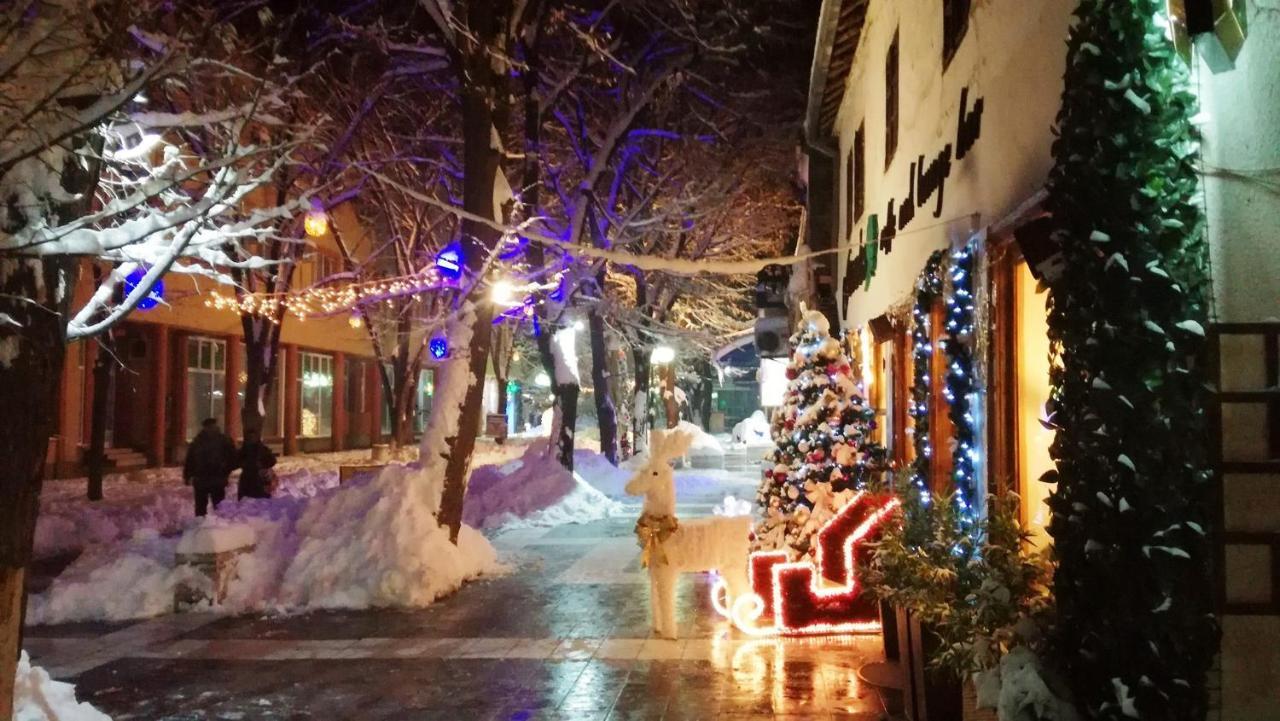 Vila Lenka Sokobanja Экстерьер фото
