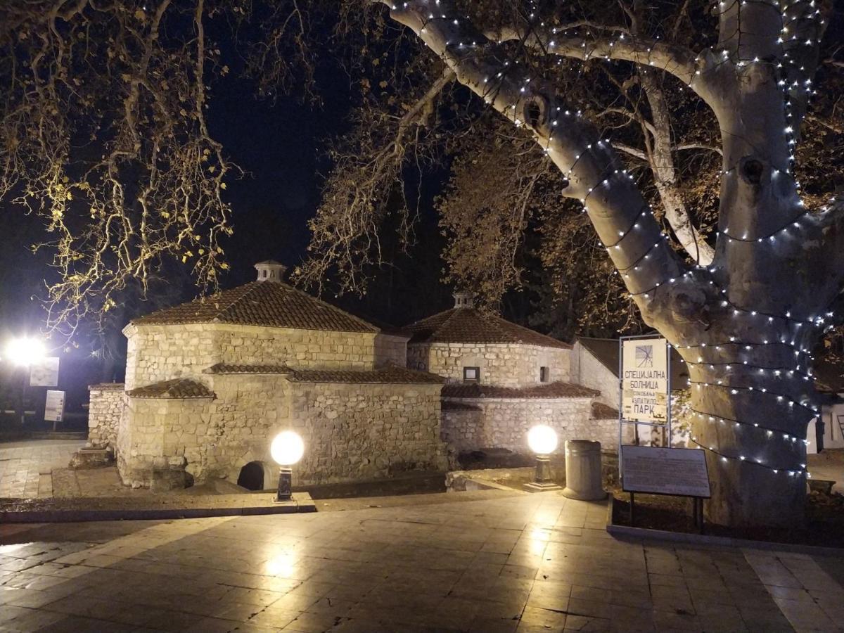 Vila Lenka Sokobanja Экстерьер фото