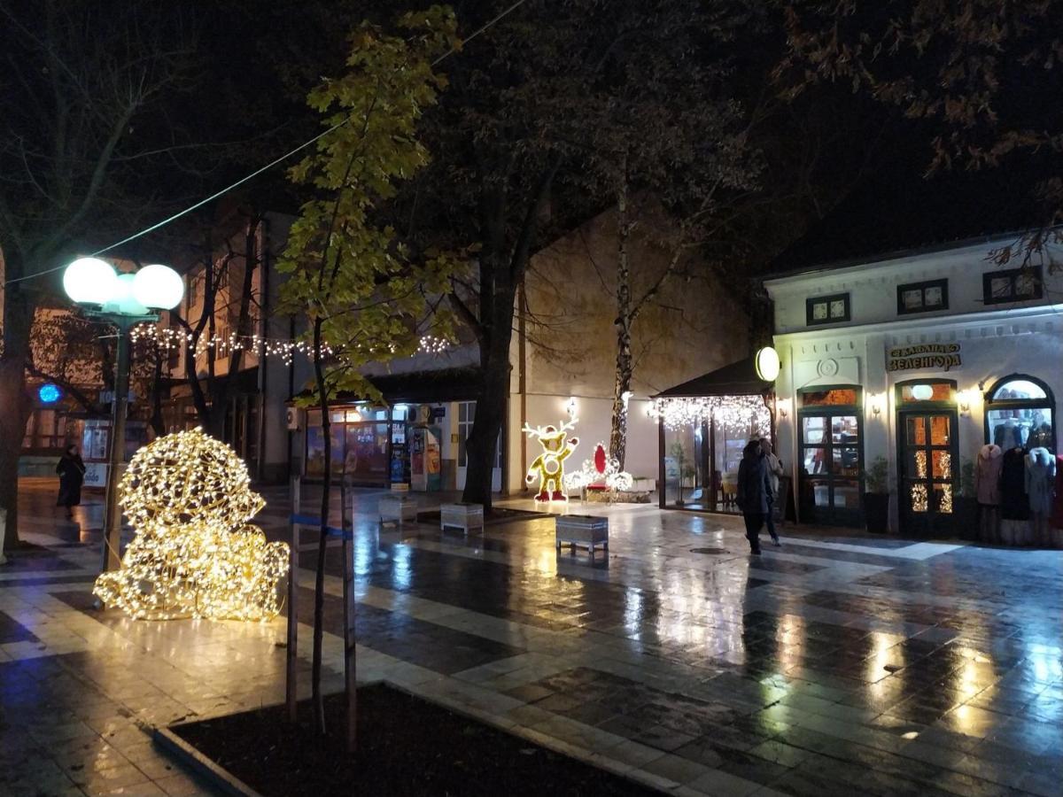 Vila Lenka Sokobanja Экстерьер фото